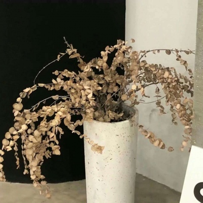 兽设场景透视教程Furry群